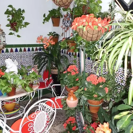 Agustina * קורדובה