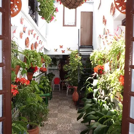 Agustina קורדובה