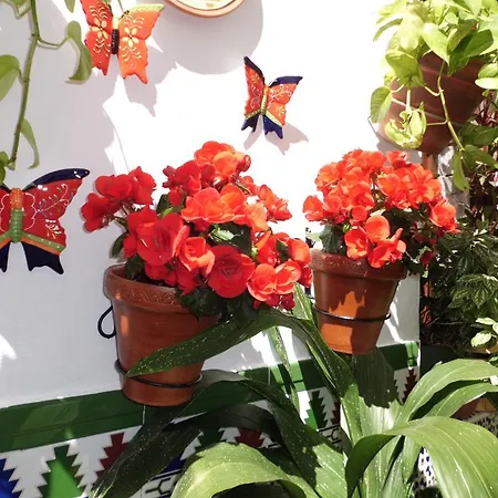 Agustina Гостевой дом *