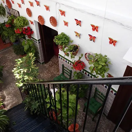 Agustina בית הארחה