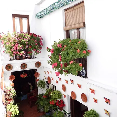 בית הארחה Agustina