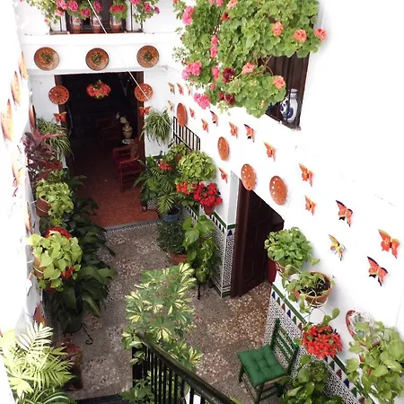 בית הארחה Agustina