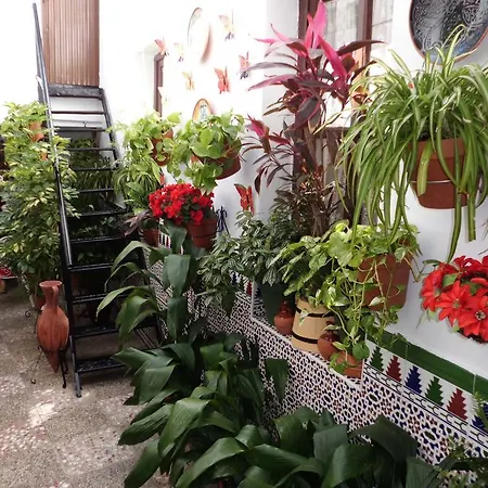 Agustina בית הארחה