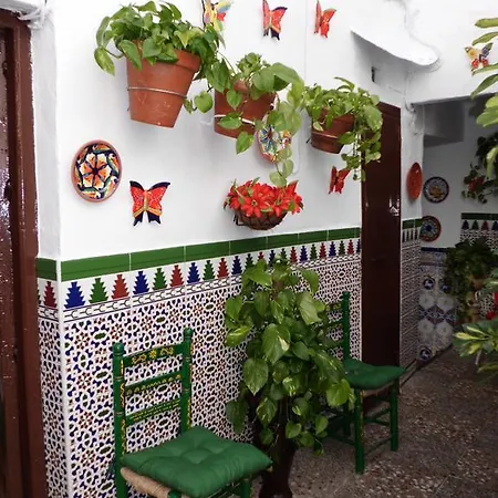 Agustina קורדובה