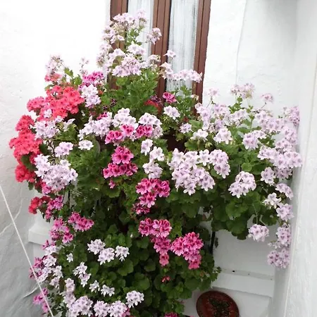 Agustina בית הארחה